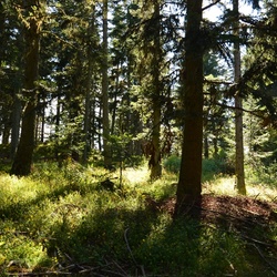 2015-07 Savoie/Jarrier/DSC_0080.JPG